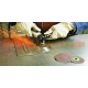 3M Roloc  materialylakiernicze.pl